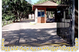 Sal�o de Festas